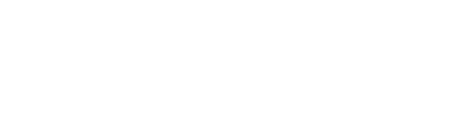 A COMPANY THAT CREATES EXCITEMENT